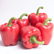 California Wonder Bell Pepper Seeds, Heirloom Favorite Garden Vegetables