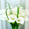 Calla - Bridal Bliss - 3 Calla Rhizomes By Easy To Grow Bulbs