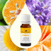 Calming the Child KidSafe Essential Oil By Plant Therapy