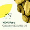 Cardamom Essential Oil By Plant Therapy