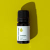 Cardamom Essential Oil By Plant Therapy