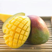 Mangifera indica 'Carrie' Dwarf Mango Tree, Grafted Live Plant