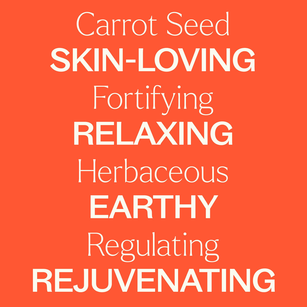 plant therapy carrot seed oil Carrot Seed Essential Oil By Plant Therapy
