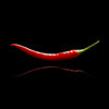 Cayenne Lovers Pepper Seed Collection, Garden Vegetables