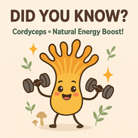 Mycomatrix Organic Cordyceps Adaptogenic Mushroom Extract