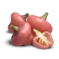 Cheiro Roxa Pepper Seeds, Brazilian Purple To Pink Garden Vegetables