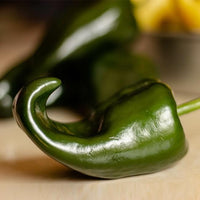 Chile Relleno Hot Pepper Seeds, Prolific Garden Vegetables