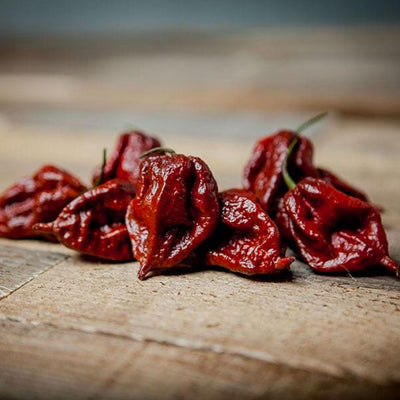 Chocolate Fever Pepper Seed Collection, Garden Vegetable Bundle