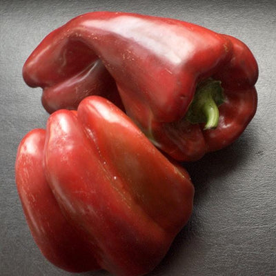 Chocolate Bell Pepper Seeds, Sugar Sweet Garden Vegetables