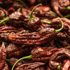 Chocolate Bhutlah Pepper Seeds, Caution Hot Garden Vegetables