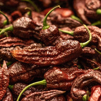 Chocolate Bhutlah Pepper Seeds, Caution Hot Garden Vegetables