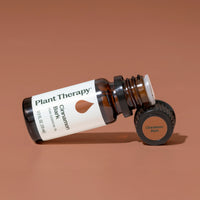 Cinnamon Bark Essential Oil By Plant Therapy