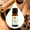Cinnamon Cassia Essential Oil By Plant Therapy