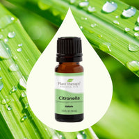 Citronella Essential Oil By Plant Therapy
