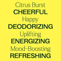 Citrus Burst Essential Oil Blend By Plant Therapy