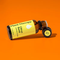 Citrus Burst Essential Oil Blend By Plant Therapy