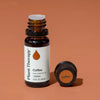 Coffee Essential Oil By Plant Therapy