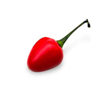 Costa Rican Chili Seeds, Easy & Beautiful Garden Vegetables