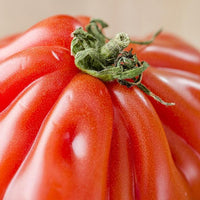 Costoluto Genovese Tomato Seeds, Italian Heirloom Garden Vegetables