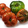 Costoluto Genovese Tomato Seeds, Italian Heirloom Garden Vegetables