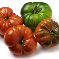 Costoluto Genovese Tomato Seeds, Italian Heirloom Garden Vegetables