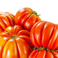 Costoluto Genovese Tomato Seeds, Italian Heirloom Garden Vegetables