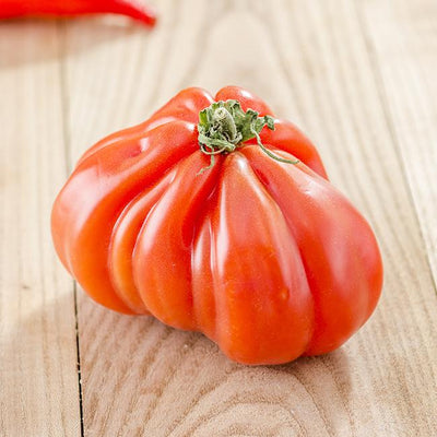 Costoluto Genovese Tomato Seeds, Italian Heirloom Garden Vegetables