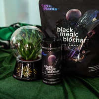 Black Magic Biochar, Soil Supplement By Love Plants