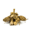 Dahlia 6 Tubers - Sunset Blaze Mix By Easy To Grow Bulbs