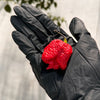 Dragon's Breath Chili Pepper Seeds, Extreme Caution Garden Vegetables