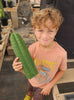 #EC13 EXACT Trichocereus Pachanoi #46 Cactus Potted & Cuttings