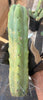 #EC153 EXACT Trichocereus Bridgesii Jiimz Twin Spine Cactus Cuttings
