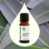 Eucalyptus Globulus Essential Oil By Plant Therapy