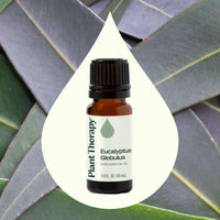 Eucalyptus Globulus Essential Oil By Plant Therapy