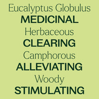 Eucalyptus Globulus Essential Oil By Plant Therapy