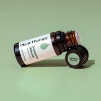 Eucalyptus Globulus Essential Oil By Plant Therapy