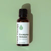 Eucalyptus Globulus Essential Oil By Plant Therapy