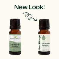 Eucalyptus Globulus Essential Oil By Plant Therapy
