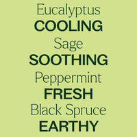 Eucalyptus Sage Body Cream By Plant Therapy