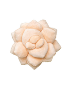 Lil' Pop Succulent® - 16" Blush Peach Plant Pillow