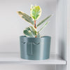 Minimal Face Planter, Small Medium Large, With Drip Tray & Drainage In Many Colors
