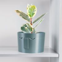 Minimal Face Planter, Small Medium Large, With Drip Tray & Drainage In Many Colors