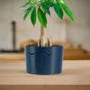 Minimal Face Planter, Small Medium Large, With Drip Tray & Drainage In Many Colors