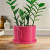 Minimal Face Planter, Small Medium Large, With Drip Tray & Drainage In Many Colors