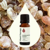 Frankincense Carterii Essential Oil By Plant Therapy