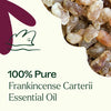 Frankincense Carterii Essential Oil By Plant Therapy