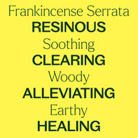 Frankincense Serrata Essential Oil By Plant Therapy