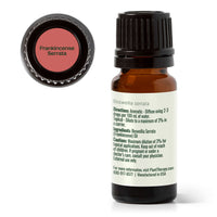 Frankincense Serrata Essential Oil By Plant Therapy