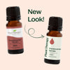 Frankincense Serrata Essential Oil By Plant Therapy