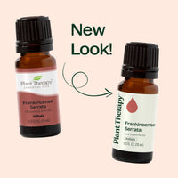 Frankincense Serrata Essential Oil By Plant Therapy